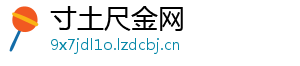 寸土尺金网